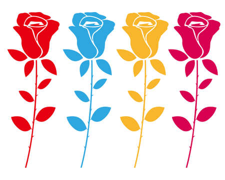 Vector illustration of a rose.のイラスト素材