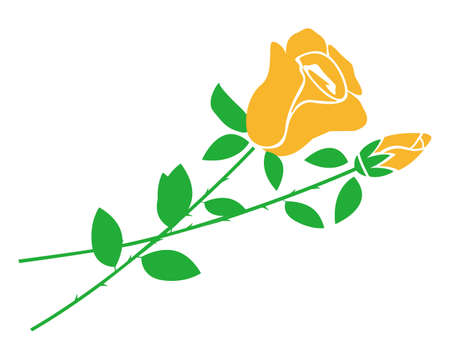 Vector illustration of a rose. 
Yellow roseのイラスト素材