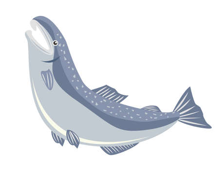 Sockeye salmon vector illustration .のイラスト素材