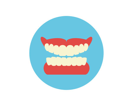 Vector illustration of dentures. Dentist. dental clinic.のイラスト素材