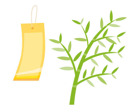 Tanabata  vector illustration. "Tanabata" a traditional Japanese event. Written in Tanabata and Japanese.のイラスト素材
