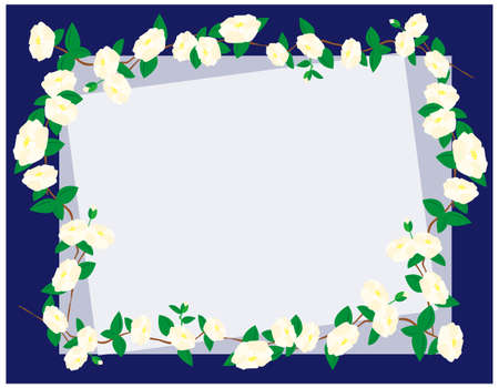 Vector illustration of camellia flowers.のイラスト素材