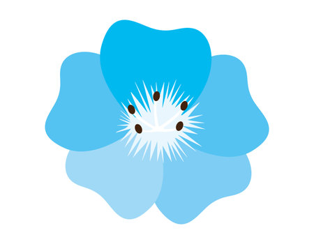 Vector illustration of blue flowers. Nemophila. Background.のイラスト素材