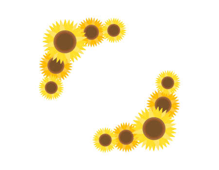 Vector illustration of sunflowers.ãSummer flowers.のイラスト素材