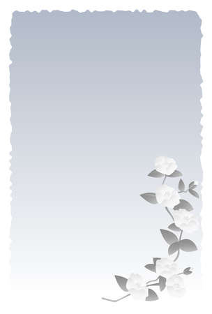 Vector illustration of camellia flowers. Postcard.のイラスト素材