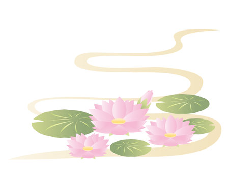 Vector illustration with water lily. Blooming flowers.のイラスト素材