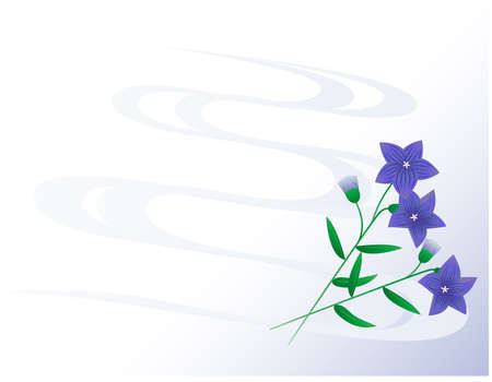 Vector illustration of bellflower flowers. Blooming flowers.のイラスト素材
