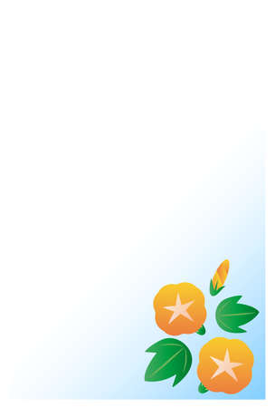 Postcard template for summer greetings.  Morning glory .のイラスト素材