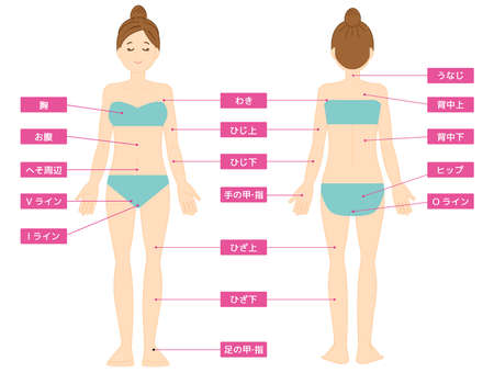 Full body illustration of a woman. Beauty. Vector illustration.のイラスト素材