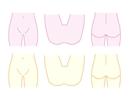 Body parts. VIO. Hair Removal. Female. Beauty. Vector illustration.のイラスト素材