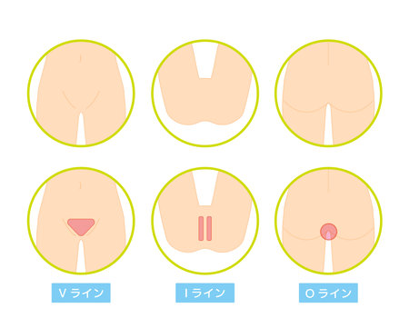Body parts. VIO. Hair Removal. Female. Beauty. Vector illustration.のイラスト素材