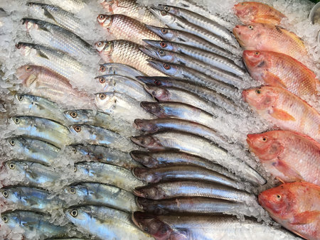 fresh fishs on ice in the market
