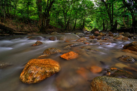 Stream of Peacefulnessの写真素材