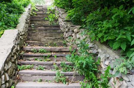 The image old stone stairs in the Park, overgrown with bushes and grass.の写真素材