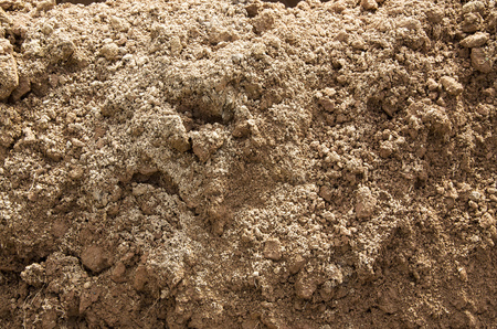 Image of an earthen cliff in the sunlight, on a dry hot day, close-up.の写真素材