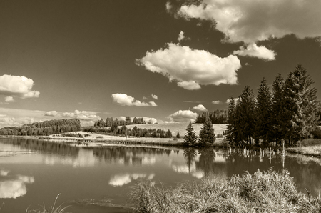 Summer view of the water surface of the river with overgrown picturesque banks and Cumulus clouds in the blue sky, monochrome, toned.の写真素材