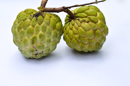 Sugar Apple custard apple, annona white backgroundの写真素材