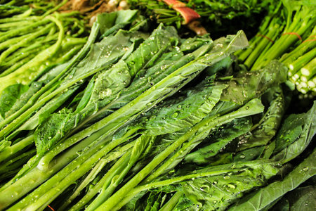 fresh vegetable kaleの写真素材