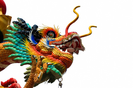 The dragon's head with white backgroundの写真素材