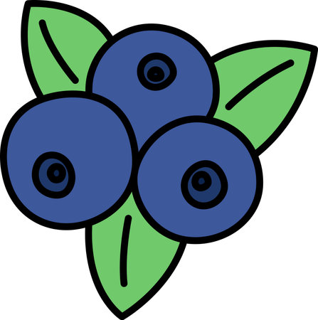Fruit color single item icon blueberryのイラスト素材