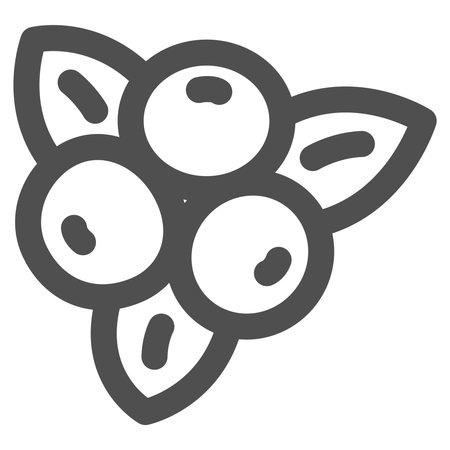 Single line drawing simple fruit icon blueberryのイラスト素材