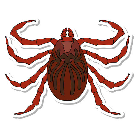 Sticker insect single item icon miteのイラスト素材