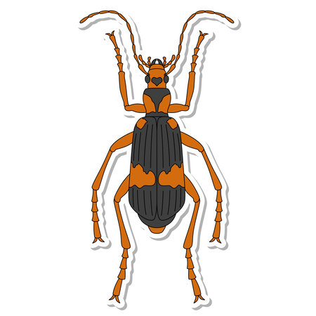 Sticker insect single item icon Mydelago beetleのイラスト素材