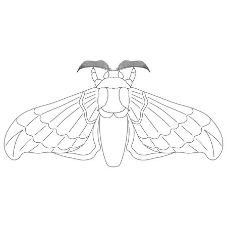 Line drawing insect single item icon silkwormのイラスト素材