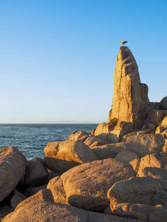 Monterey Coast at Sunset, California USAの写真素材