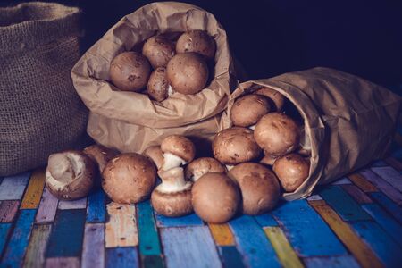 Fresh mushrooms in paper bagの写真素材