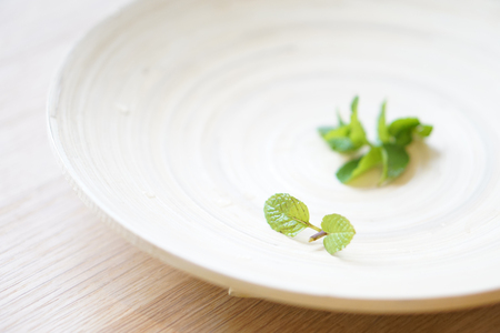 Mint leavesの写真素材