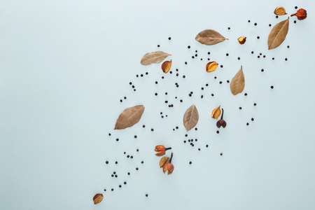 Spice composition. Bay leaf and pepper decorations on blue background. Flat lay, top view, copy space. Abstractの写真素材