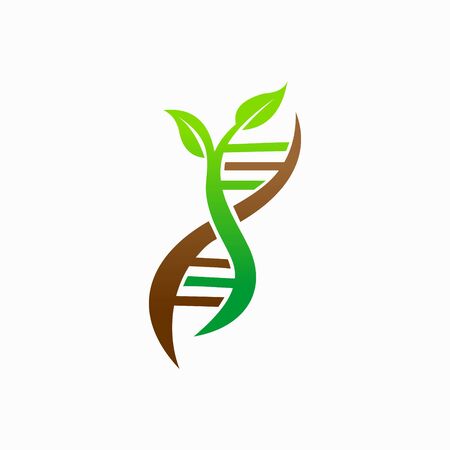 DNA cell with green leafs vector designのイラスト素材