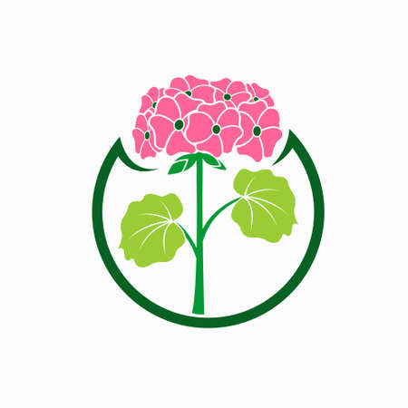 Geranium vector logoのイラスト素材