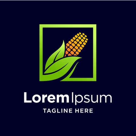 sweet corn logo with square conceptのイラスト素材