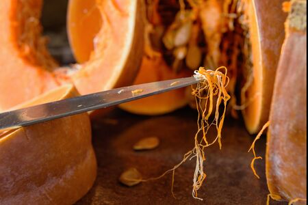 The fibers are on the tip of the knife on the background of the cut pumpkin.の写真素材