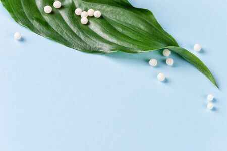 Homeopathy concept. Homeopathic balls on green leaf.の写真素材