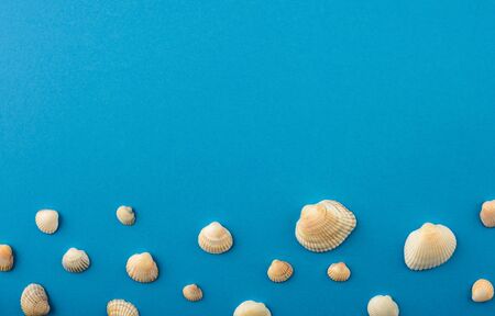 Holiday background. Shells of different sizes on a blue background. Copy space.の写真素材
