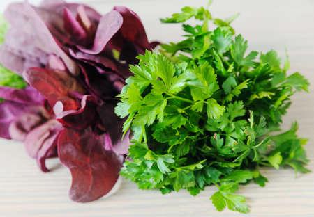 Parsley and red spinach are on wooden background.の写真素材