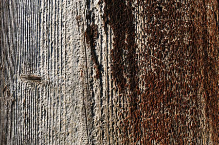 An old wooden texture with traces of destruction.の写真素材