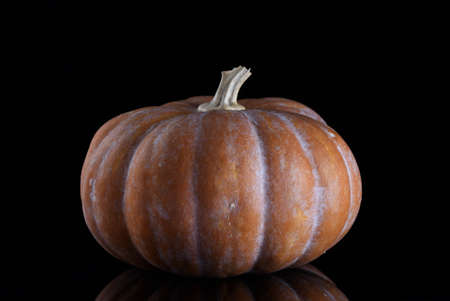 The pumpkin on a black background with a reflection.の写真素材