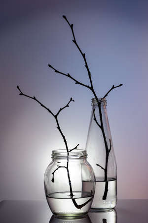 Still life. Glass to clear. Glass jar and bottle with twigs. Colorful background.の写真素材