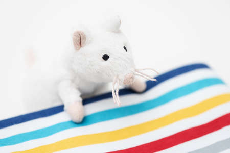 The toy white rat looks out of the under blanket.の写真素材