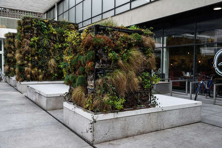 Warsaw, Poland- 04.16.2022: Vertical landscaping. Outdoor installation.のeditorial素材