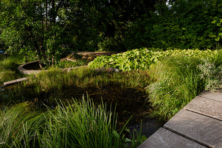 Stream in the park in summer. The gentle slopes of the banks are covered with grass and stones.の写真素材