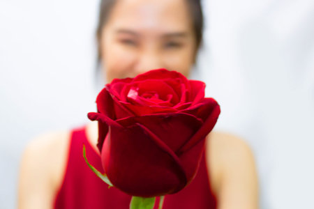 Asian beautiful women are happy  giving red rose with smiling and happiness on a Valentine day and...