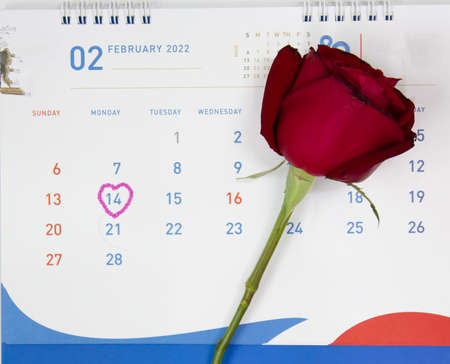 Red Rose with calendar in February and heart shape on Day14 . A Valentine's day and love.の写真素材
