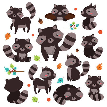 Clip arts of character raccoon cartoonのイラスト素材