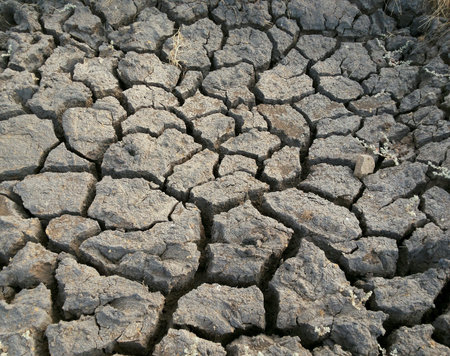 Dried earth in summer