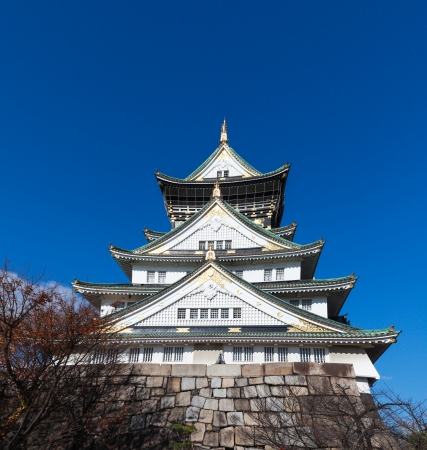 Beautiful japanese castle in winter blue skyのeditorial素材